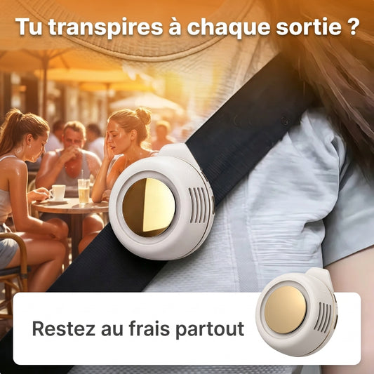 Brumisateur extérieur portatif