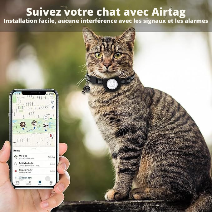 Collier pour animaux de compagnie en silicone