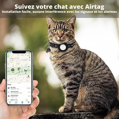 Collier pour animaux de compagnie en silicone